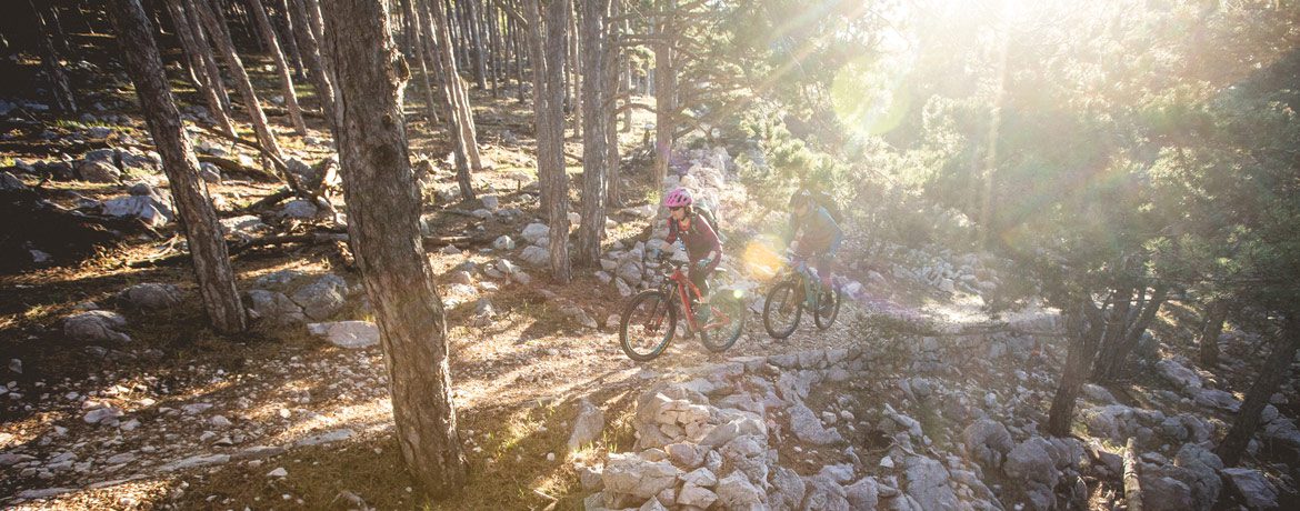 Riding through the forest and morning sun, part of our Croatia mountain bike tour.