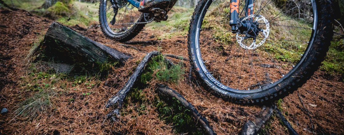 How to Ride Wet Trails on a Mountain Bike