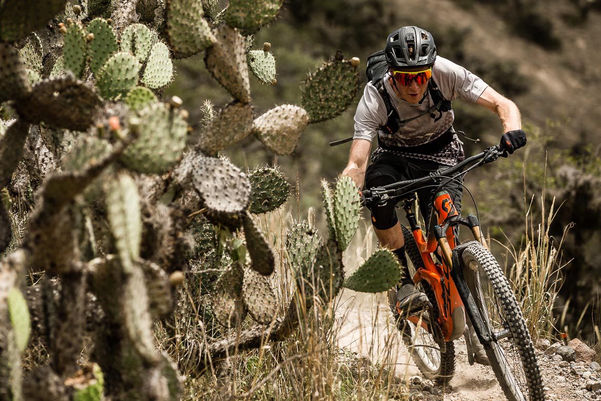 Mountain biking through cacti in Ecuador